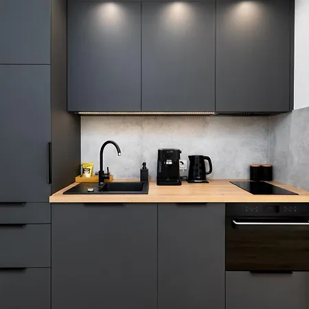 Rj Widok Na Sniezke 公寓 卡尔帕奇